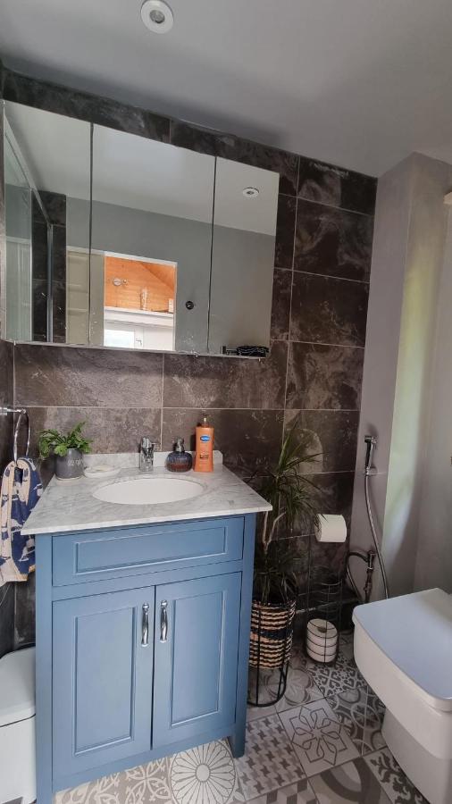 Glebe House, Private Entrance, Free Parking On Drive, Self Check In, Netflix Bed & Breakfast Ashford  Dış mekan fotoğraf